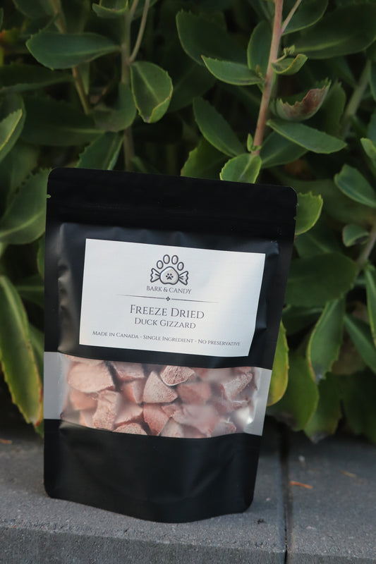 Freeze Dried Raw Duck Gizzard