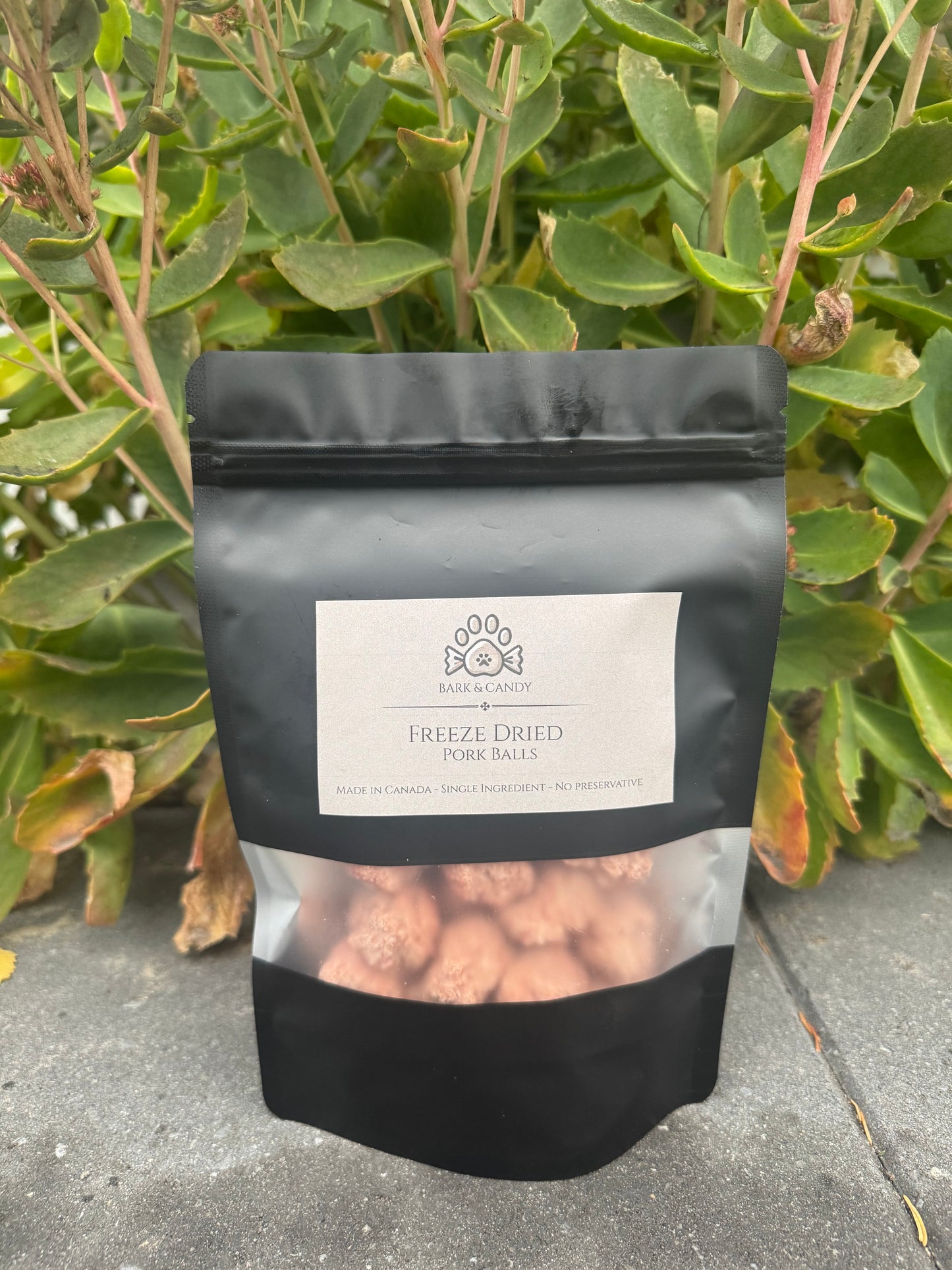 Freeze Dried Raw Pork Bites