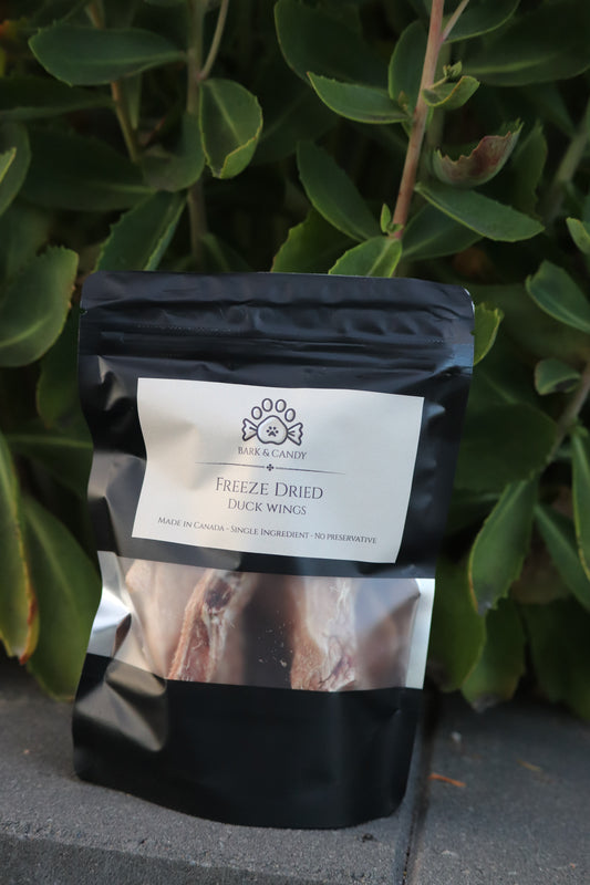 Freeze Dried Raw Duck Wings