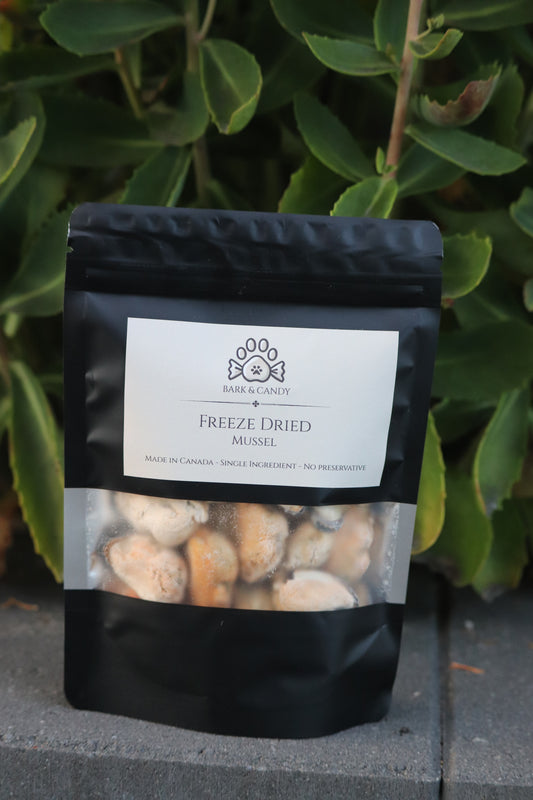 Freeze Dried Raw Mussel