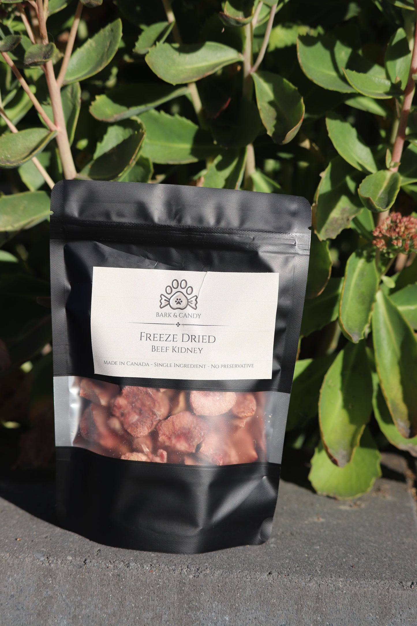 Freeze Dried Raw Beef Kidney