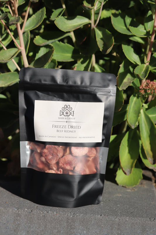 Freeze Dried Raw Beef Kidney