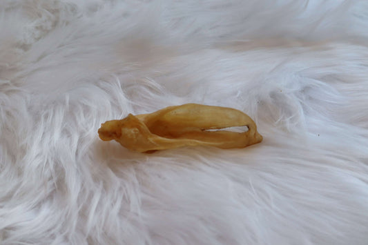 Lamb Ears Dog Chew