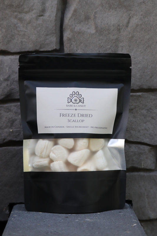 Freeze Dried Raw Scallops Pet Treats