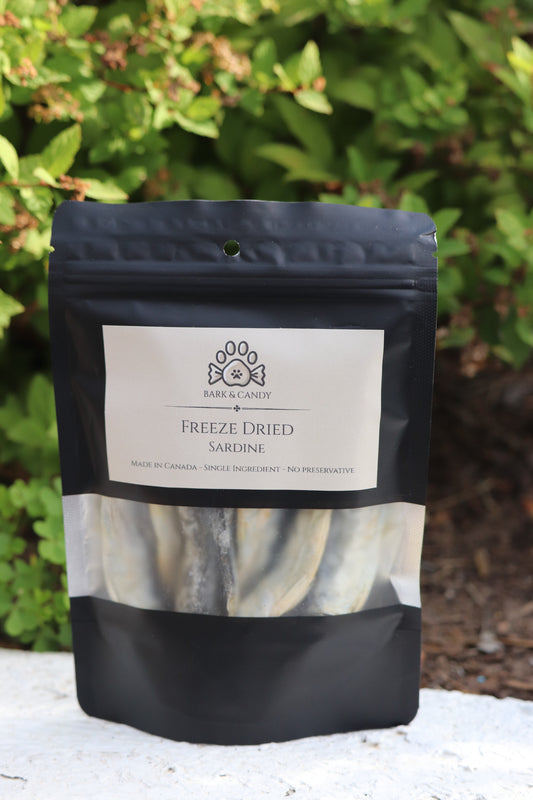 Freeze Dried Raw Sardines