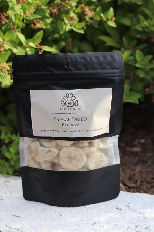 Freeze Dried Banana Pet Treats