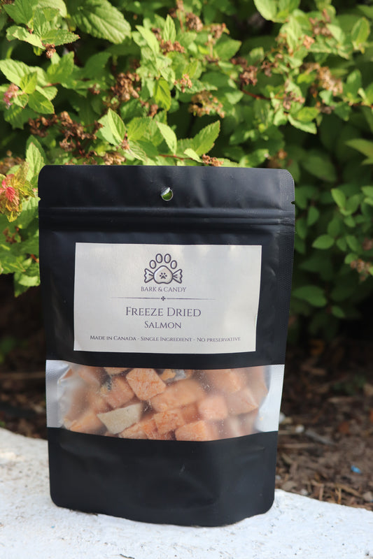 Freeze Dried Raw Salmon W/Skin