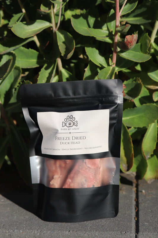 Freeze Dried Raw Duck Head