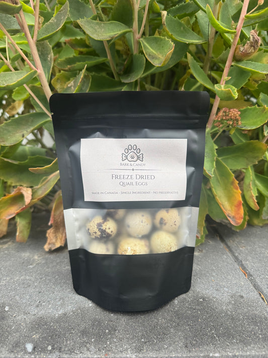 Freeze Dried Quail Eggs